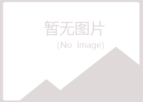 顺昌县白山化学有限公司